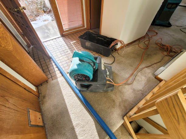 Trusted WA Water damage restoration Experts