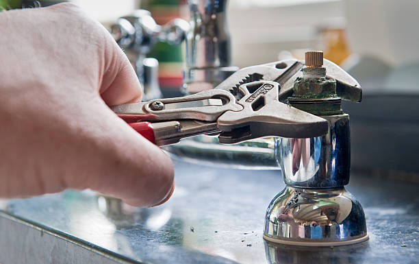 Best Local water damage restoration  in Elma, WA
