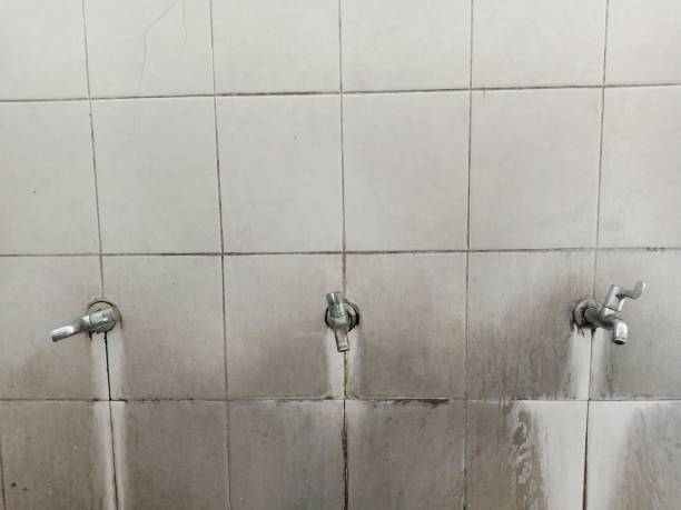 Best 24-hour water damage restoration  in Elma, WA