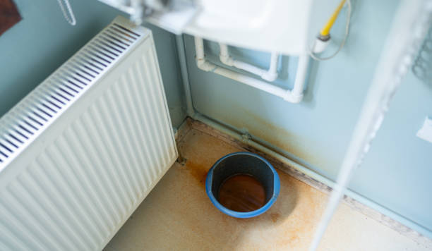 Best Professional water damage repair  in Elma, WA